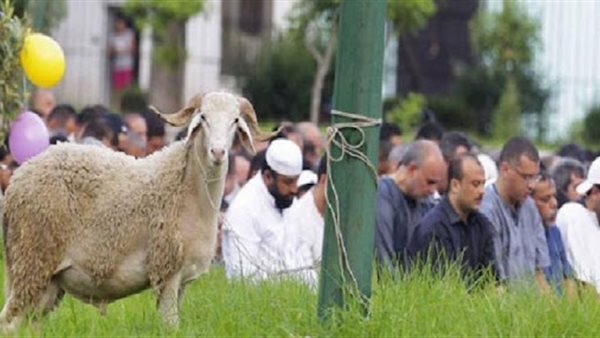 تفاصيل مظاهر احتفالات عيد الأضحى عبر العصور.. 